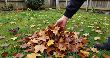 If You Love Birds, Experts Say You Shouldn’t Rake Your Leaves This Fall—Do This Instead